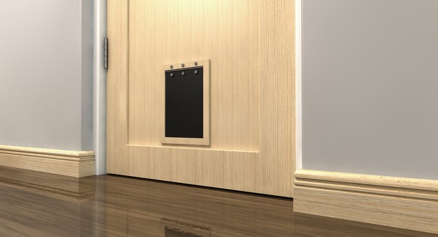 Cat Flap Installation Gravesend, Northfleet, DA11