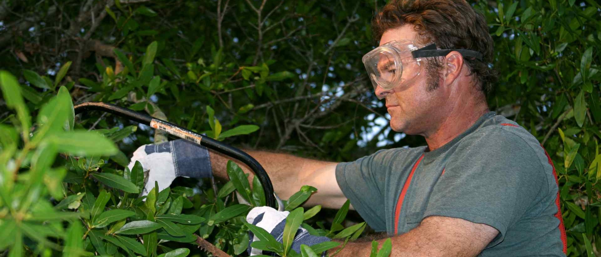 garden clearance DA11
